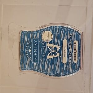 Make Waves Scentsy Bar - New